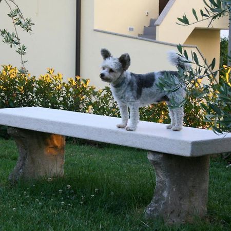 Damjanić Holiday House Brtonigla Zewnętrze zdjęcie