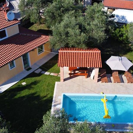 Damjanić Holiday House Brtonigla Zewnętrze zdjęcie