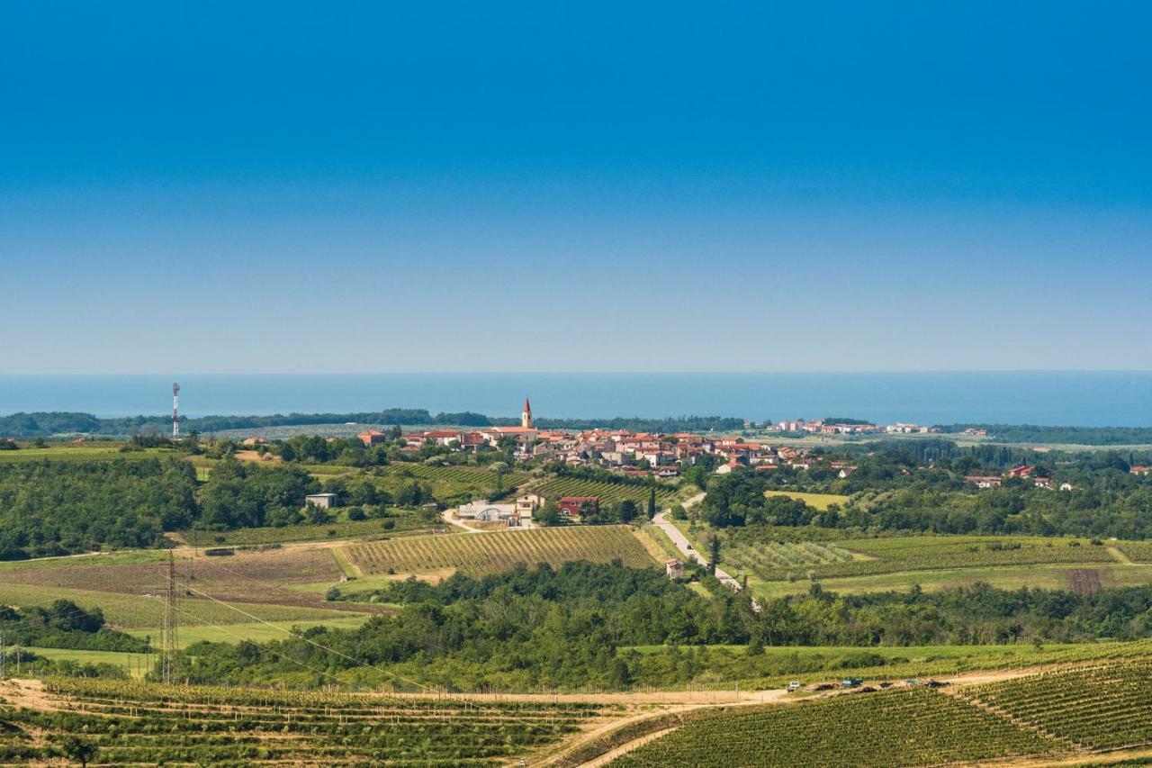 Damjanić Holiday House Brtonigla Zewnętrze zdjęcie