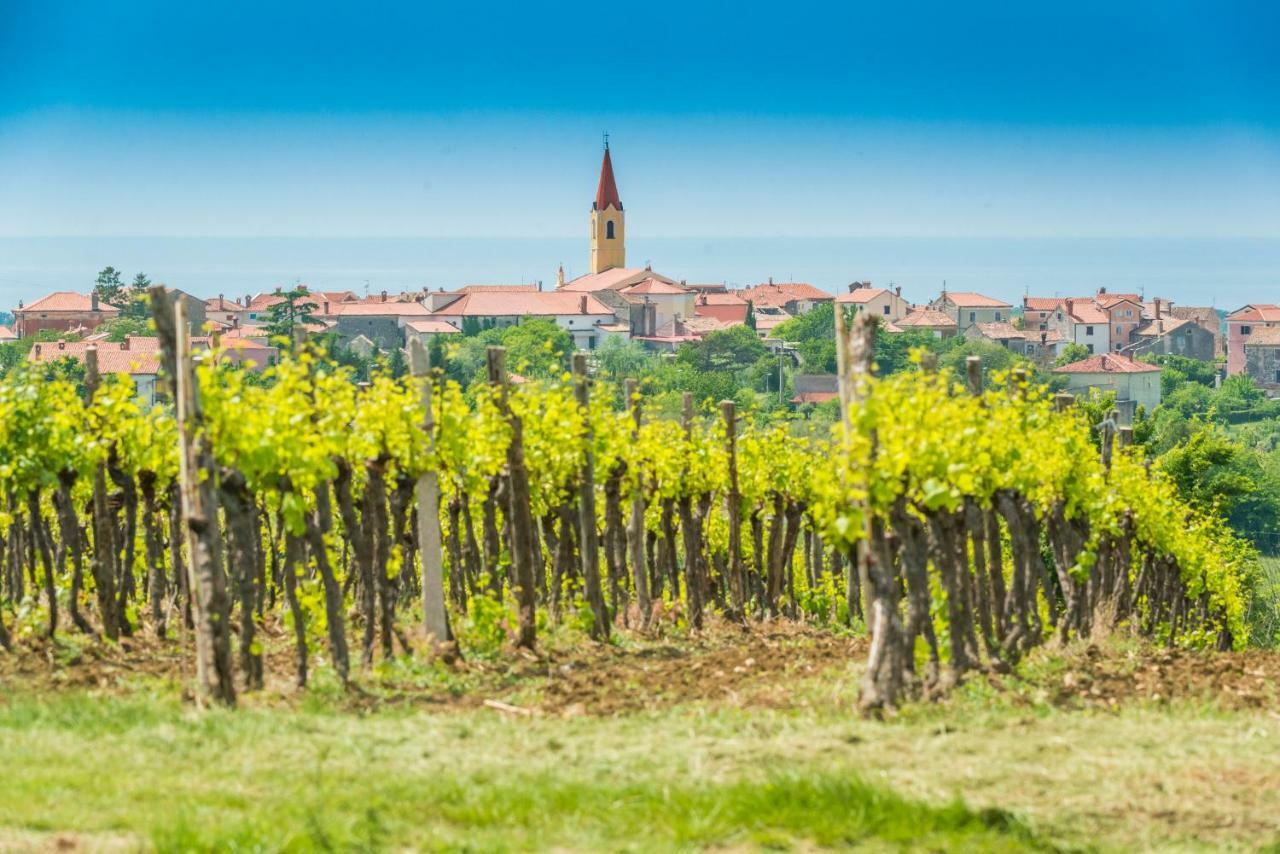 Damjanić Holiday House Brtonigla Zewnętrze zdjęcie